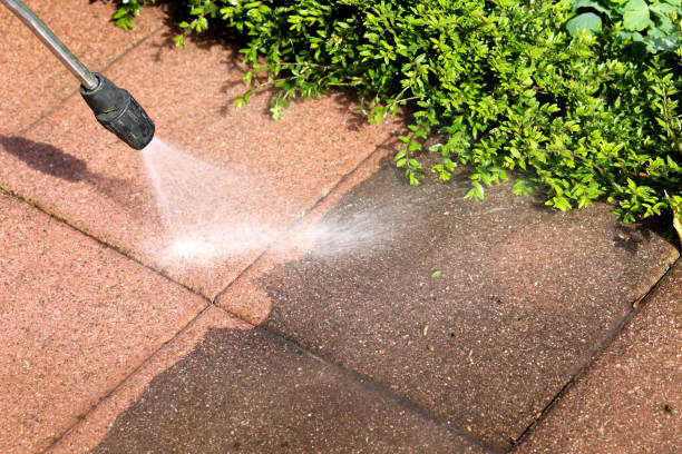 Best Local Pressure Washing Services  in Ashland, VA